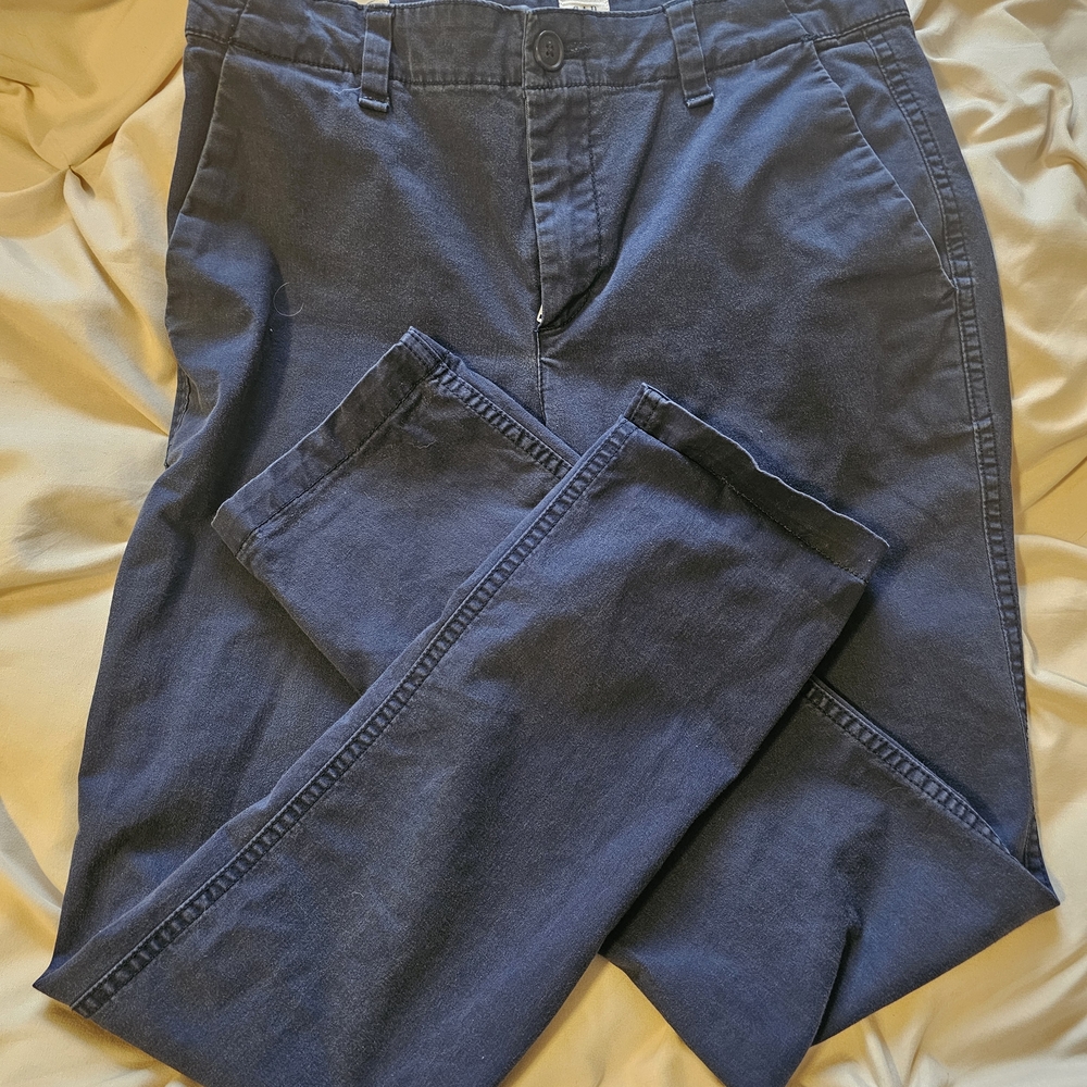 GAP Womens Dark Blue Chinos